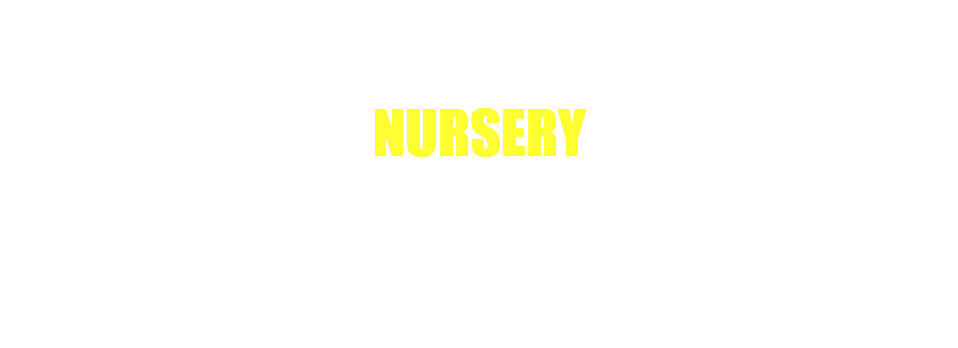 NURSERY